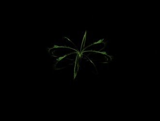 Similar image 21643881