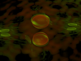 Similar image 21644075