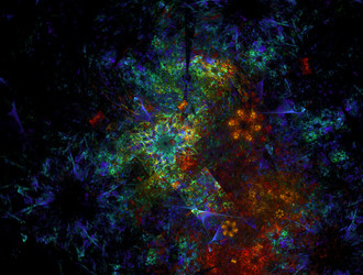 Similar image 21644082