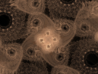 Similar image 21636754