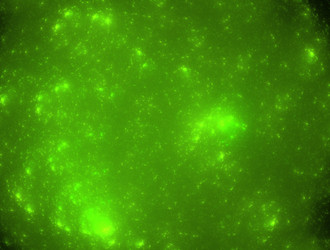 Similar image 21637198