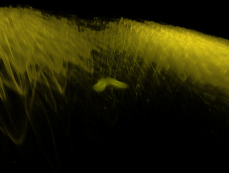 Similar image 21637223