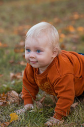 Similar image 21646903