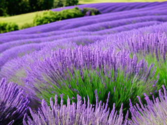 Similar image 21632311