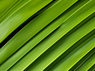 Similar image 21632456