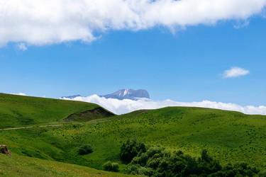 Similar image 21631915