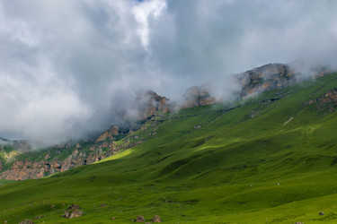 Similar image 21631916