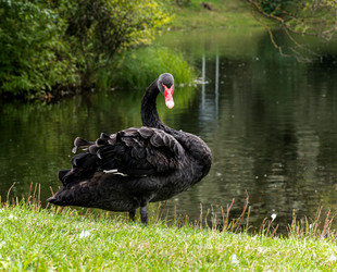 Similar image 21631921