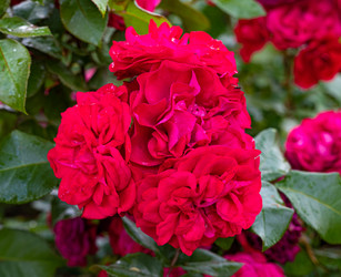 Similar image 21631928