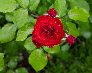 Similar image 21631929