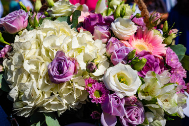 Similar image 21631930