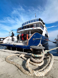 Similar image 21631933