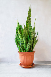 Similar image 21631937