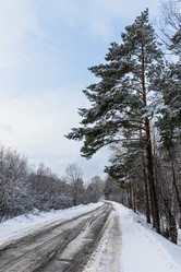 Similar image 21631940