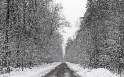 Similar image 21631941