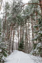 Similar image 21631942