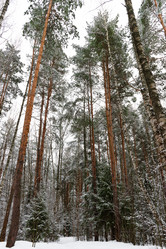 Similar image 21631943