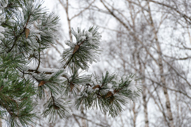 Similar image 21631946