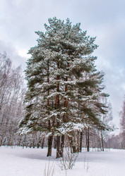 Similar image 21631947