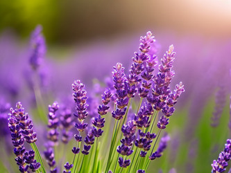 Similar image 21632326