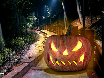 Similar image 21632730