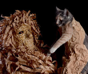 Similar image 21637436