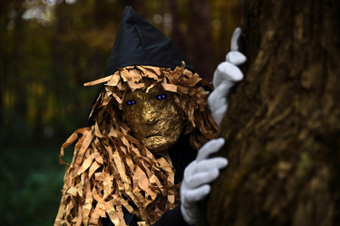 Similar image 21632737