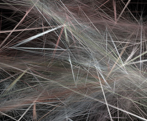 Similar image 21635809