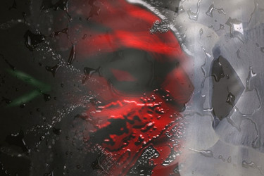 Similar image 21631694