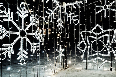 Similar image 21632495