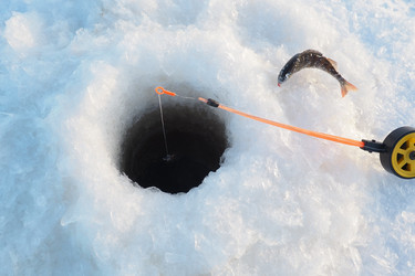 Similar image 21632498