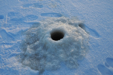 Similar image 21632503