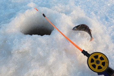 Similar image 21632506