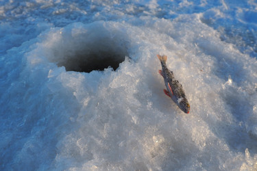 Similar image 21632509