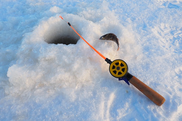 Similar image 21632516