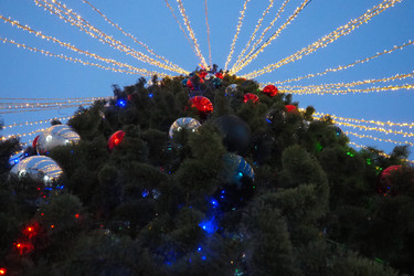 Similar image 21632519