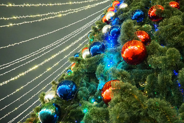 Similar image 21632521