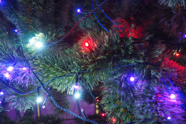 Similar image 21632523