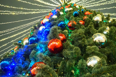 Similar image 21632524