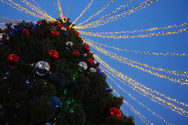 Similar image 21632529