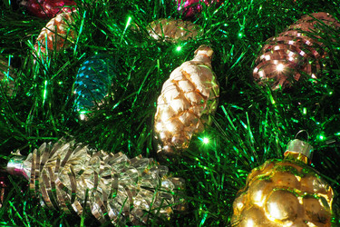 Similar image 21632533