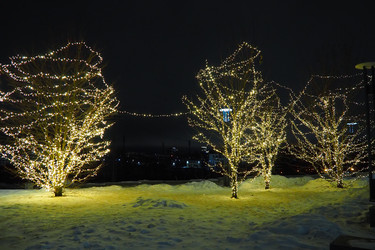 Similar image 21632542