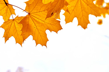 Similar image 21631722