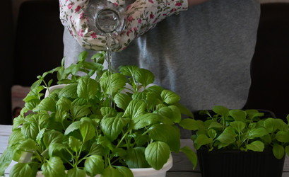 Similar image 21631723