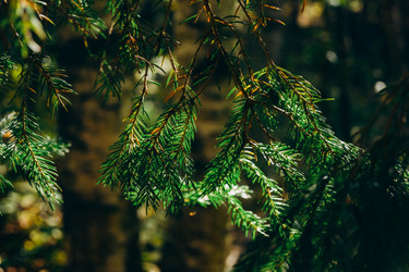 Similar image 21633438