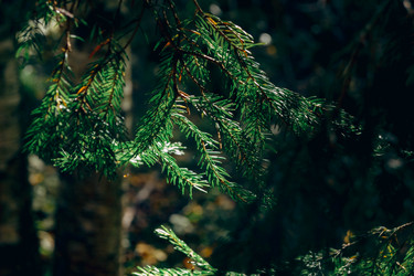 Similar image 21633439