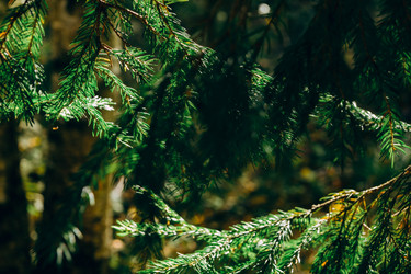 Similar image 21633440