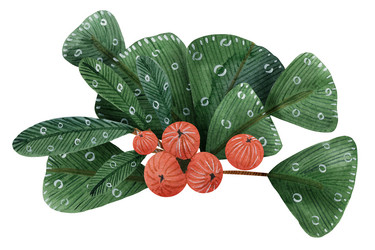 Similar image 21632021