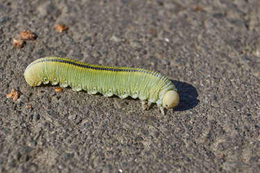 Similar image 21631725