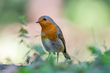 Similar image 21634236